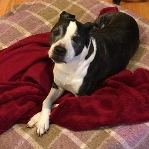 Top for Rachel♥️♥️